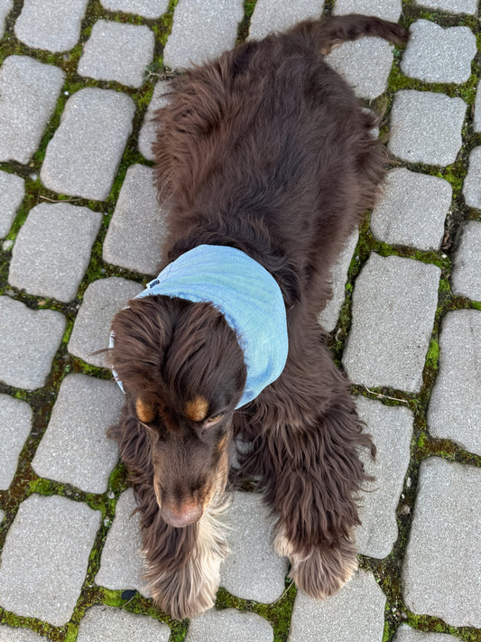 MAURICE - Snood jeanslook