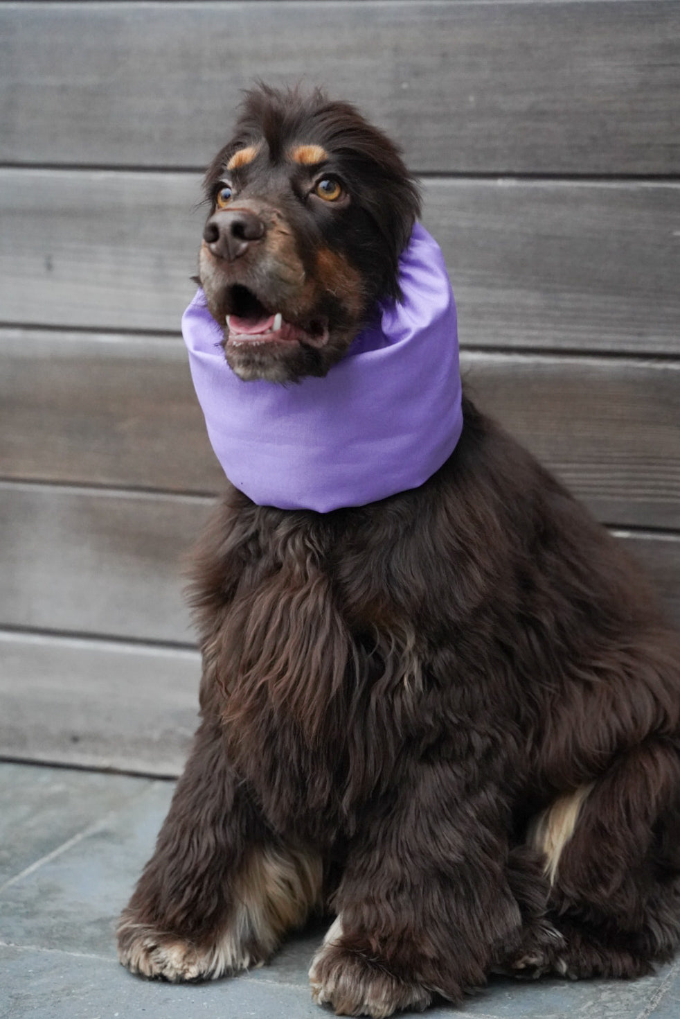 LYDIA - Snood Lila
