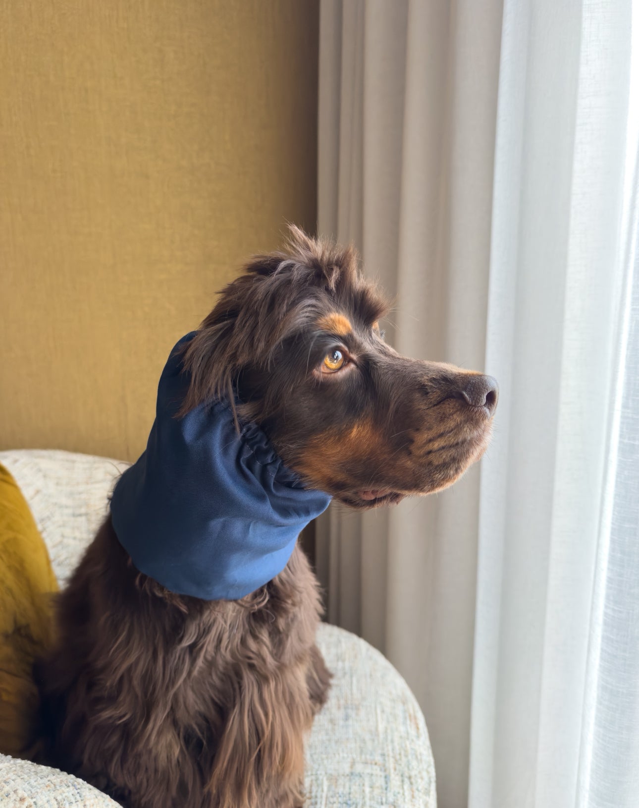 LAURIJN - Snood navy gepersonaliseerd