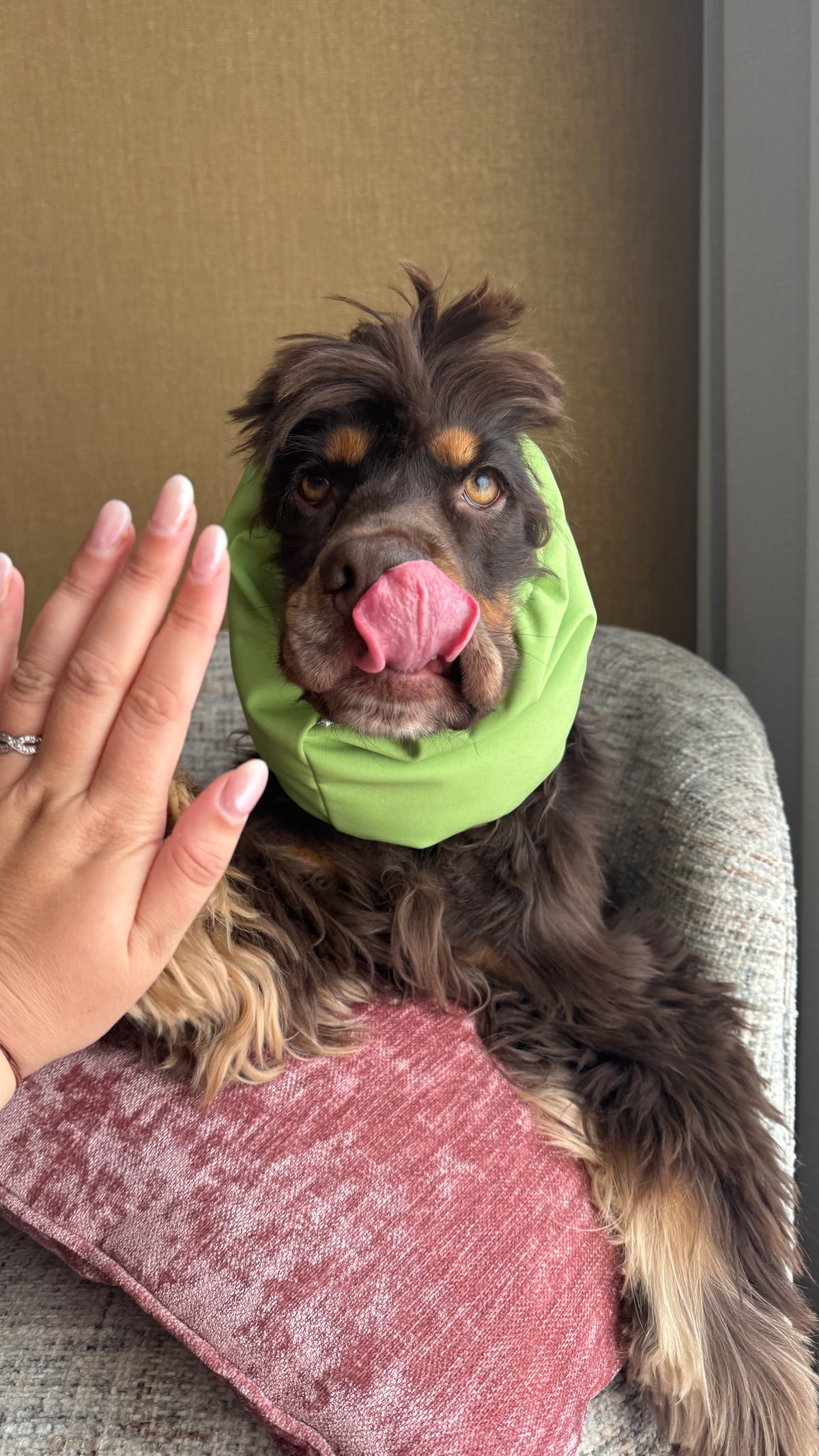 MARTHA - waterafstotende snood matcha