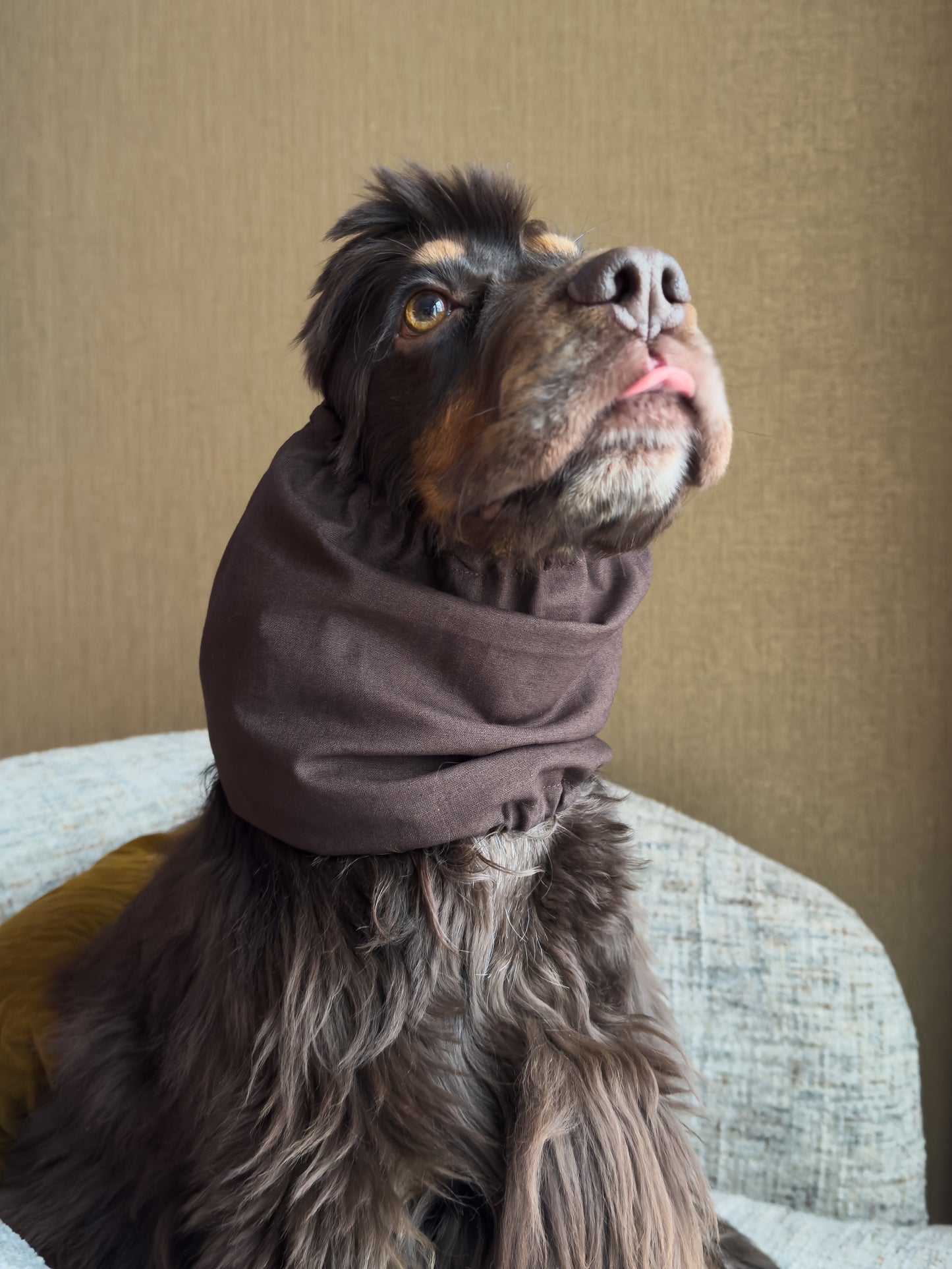Snood Anne-Sophie