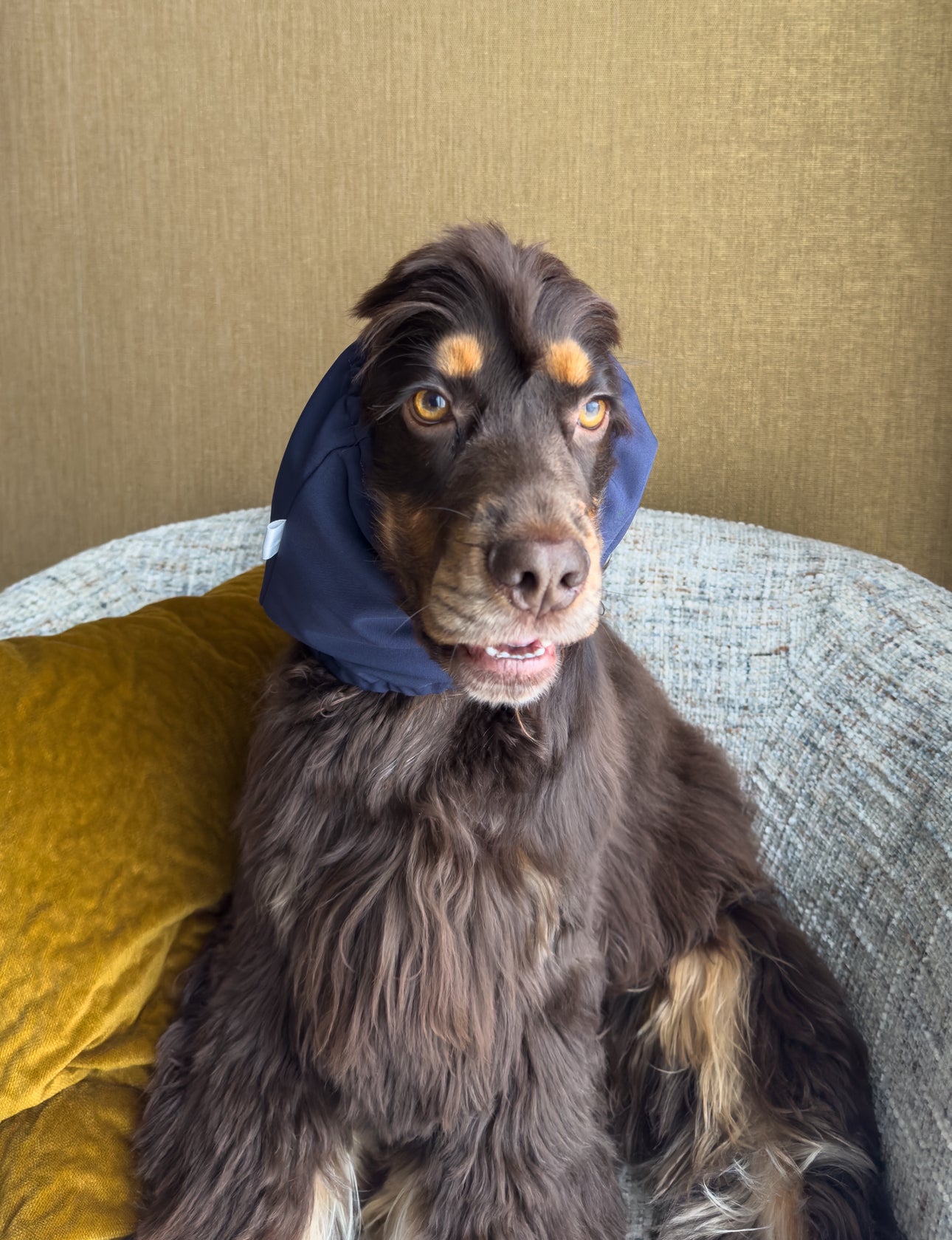 ILSE - Snood navy waterafstotend