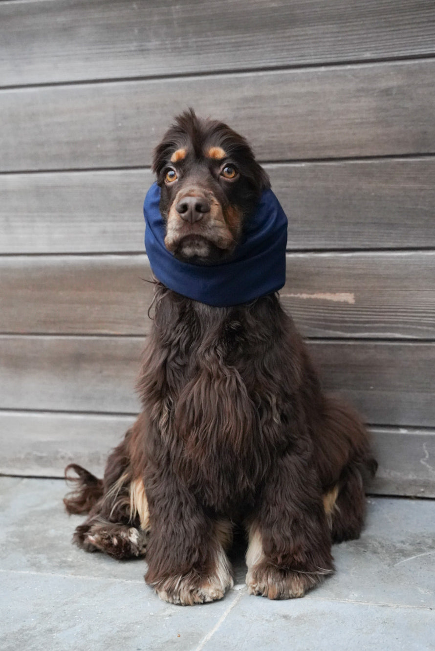 LAURIJN - Snood navy