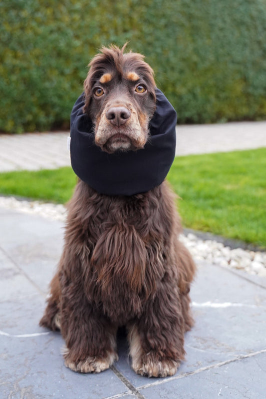 LAUREN - Snood zwart