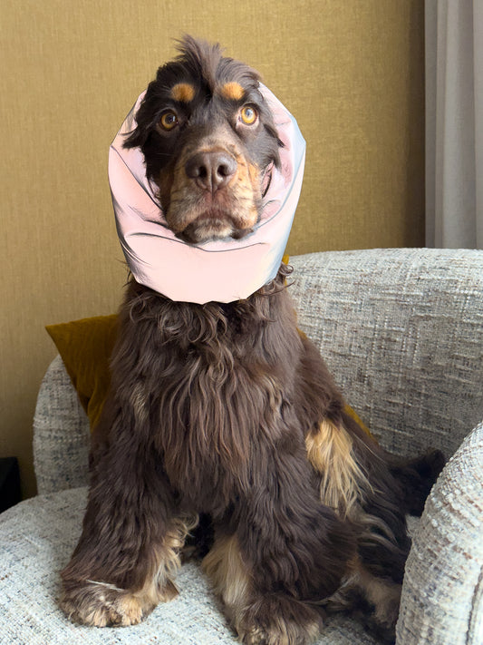 OSCAAR - Snood waterafstotend én reflecterend