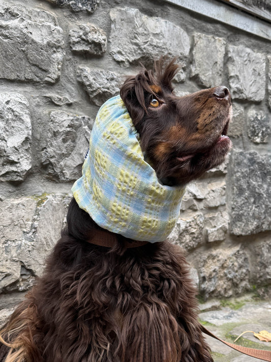 TOON - Snood blauw-geel ruit