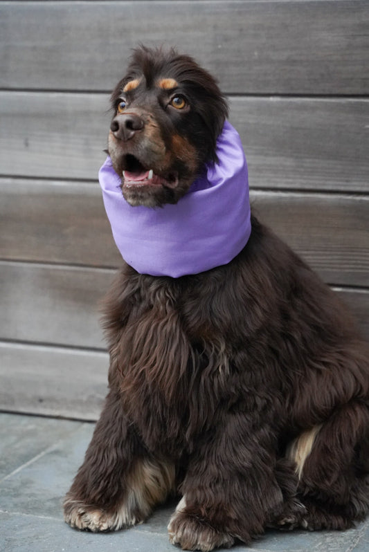 LYDIA - Snood lila gepersonaliseerd