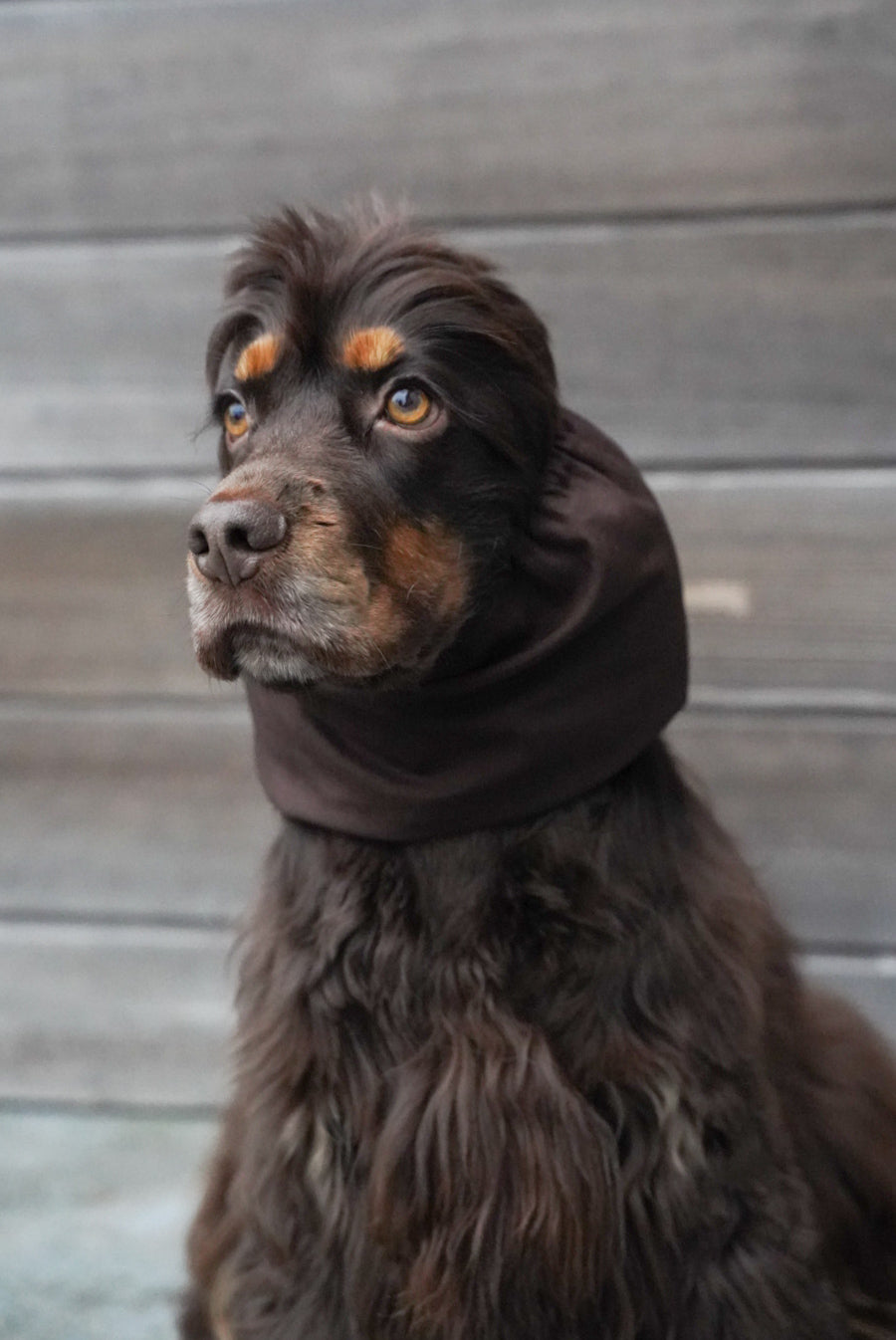ANNE-SOPHIE - Snood bruin gepersonaliseerd