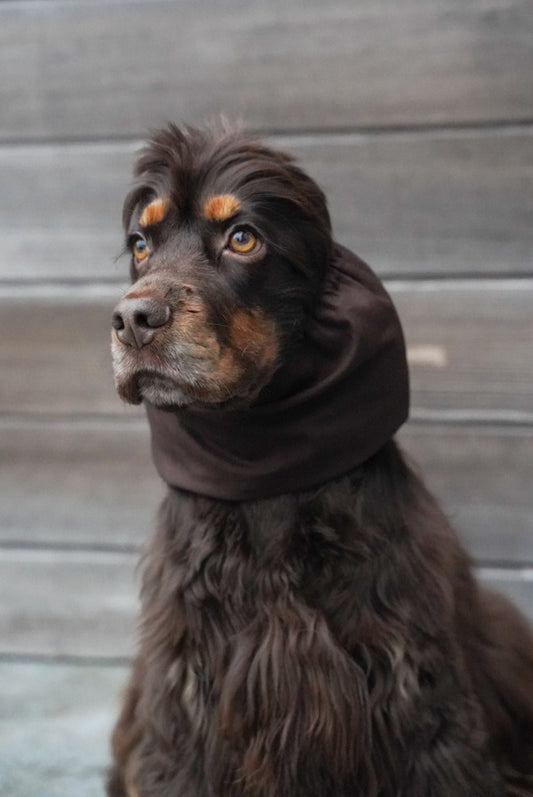 ANNE-SOPHIE - Snood bruin