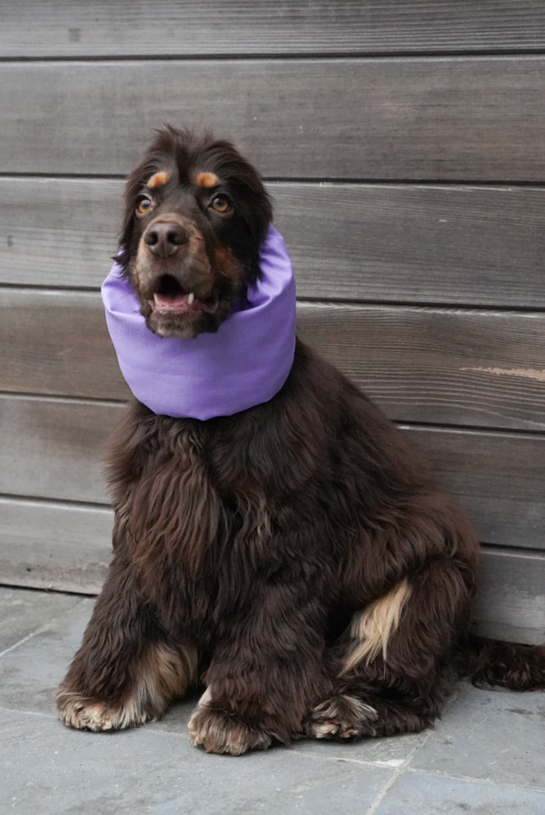 LYDIA - Snood Lila