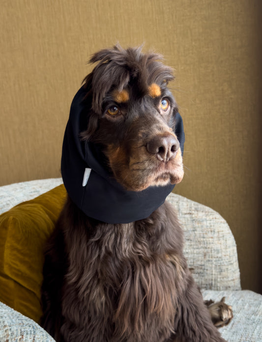 Snood Lauren M
