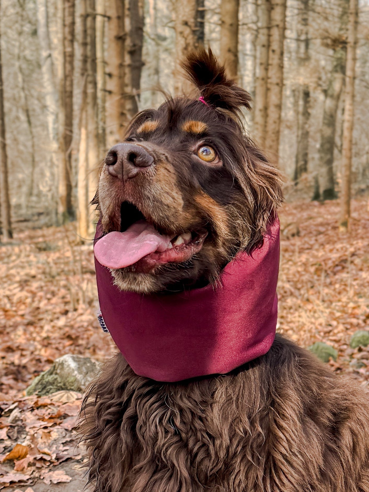 CECILE - snood bordeaux waterafstotend, gepersonaliseerd
