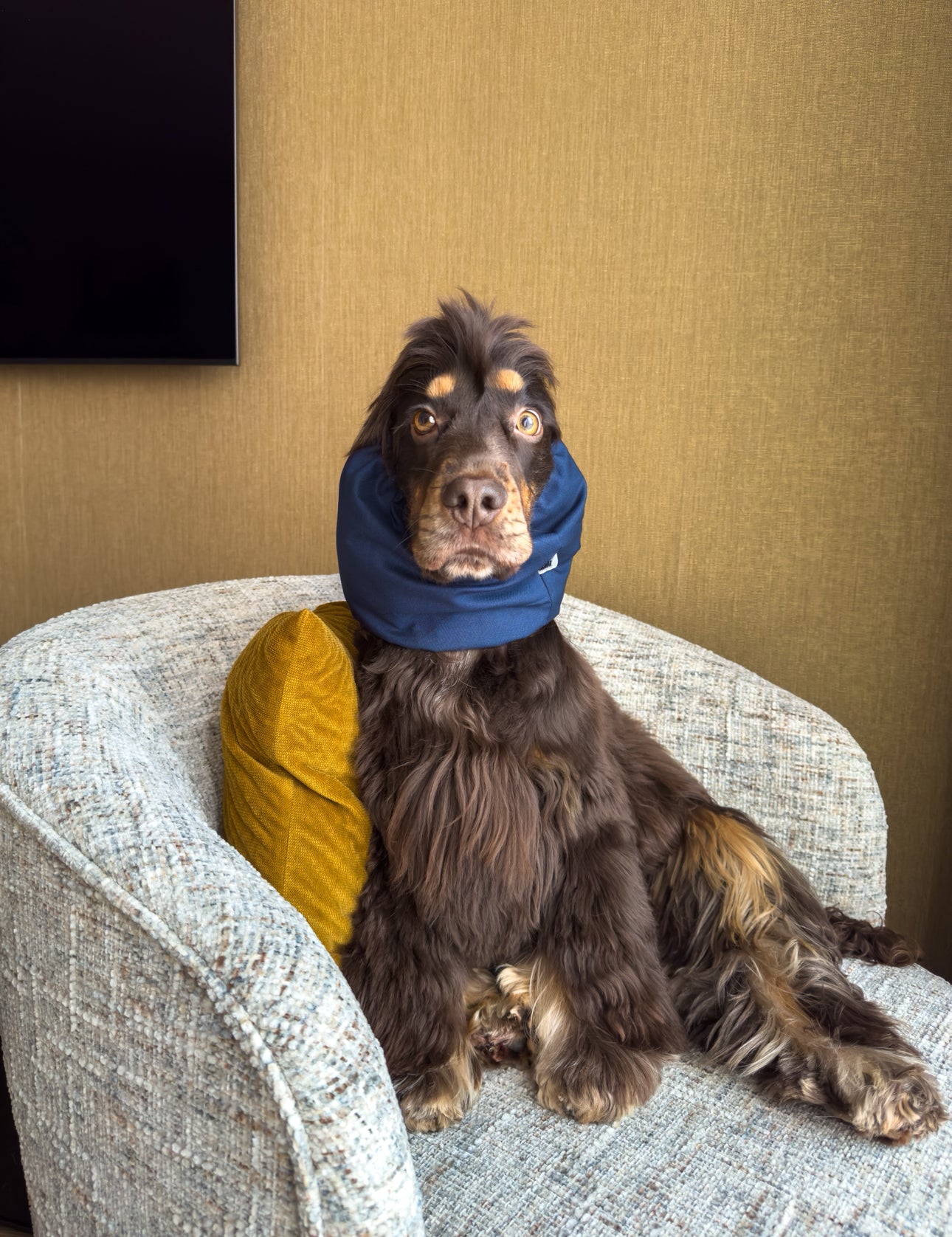 LAURIJN - Snood navy