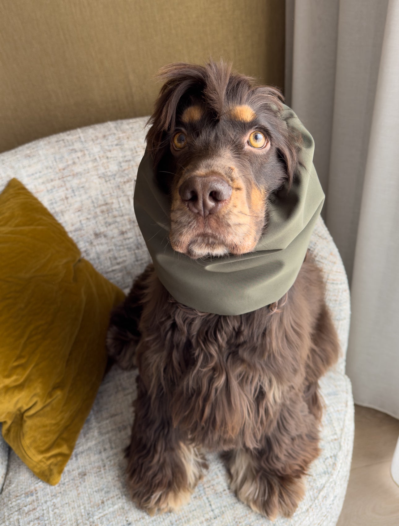 HUGO - Snood kaki waterafstotend, gepersonaliseerd