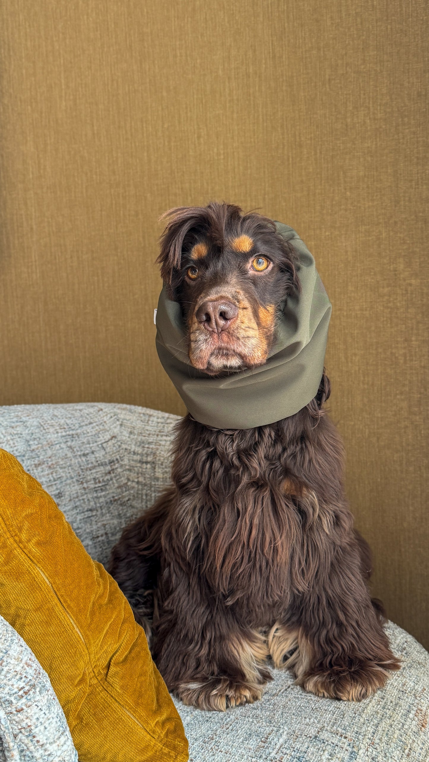 HUGO - Snood kaki waterafstotend, gepersonaliseerd